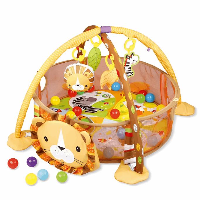 Explore and Play Baby Mat