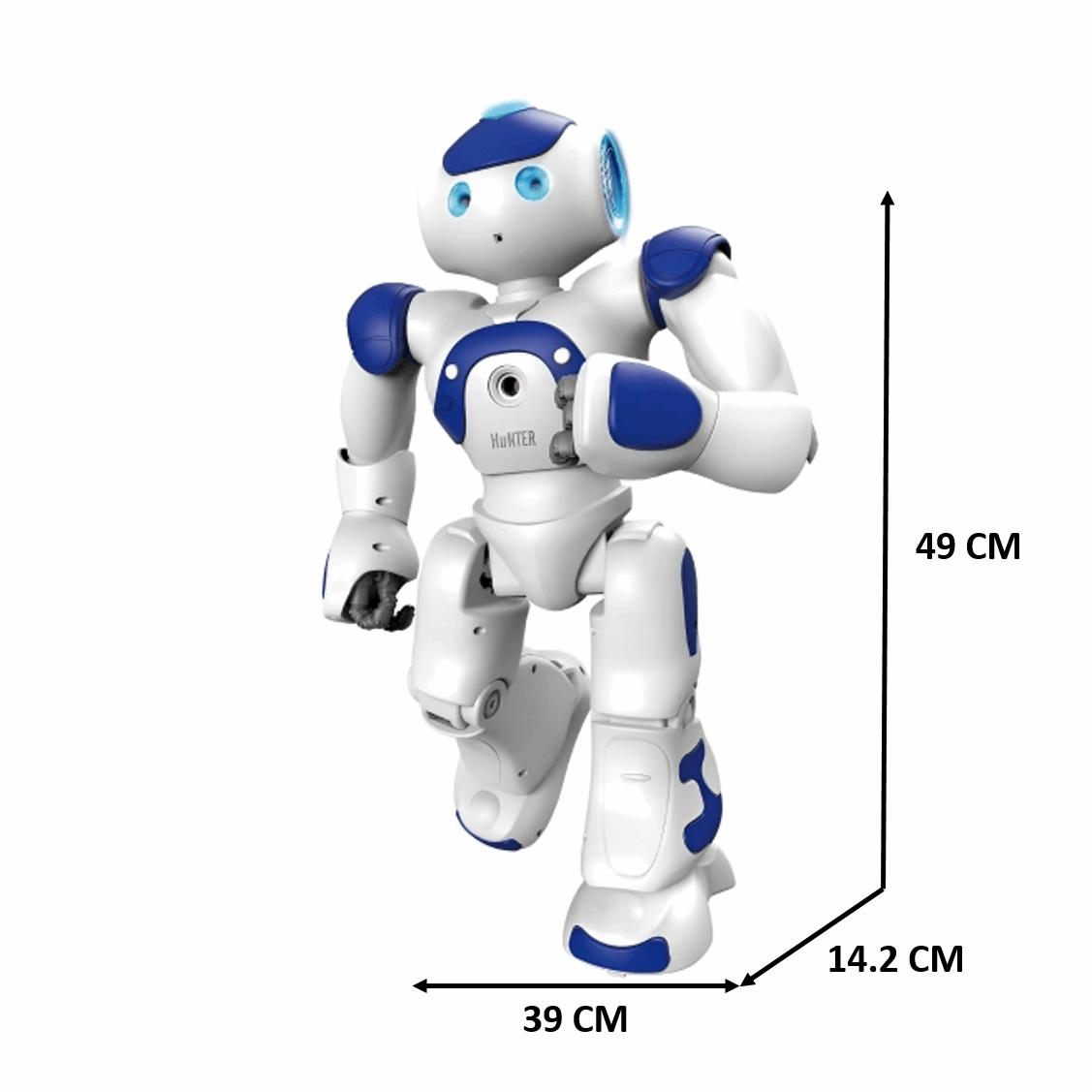 Hunter steering gear intelligent robot